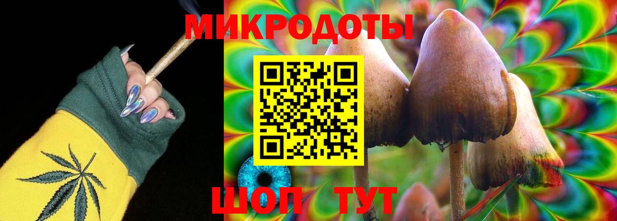 купить наркотик  Псилоцибиновые грибы Magic Shrooms  Галлюциногенные грибы Psilocybe  Вход с VPN  Петропавловск-Камчатский 